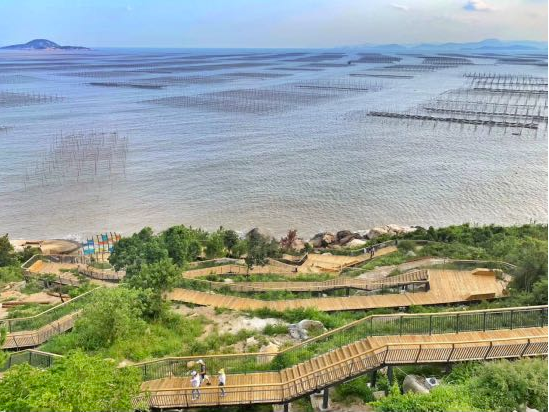 1666150077127295.png 3.png