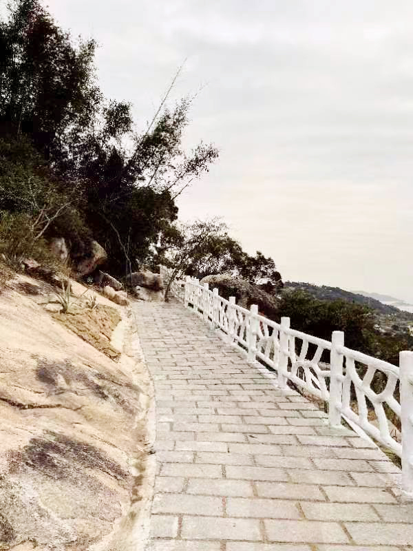 1666150120287887.jpg 6.jpg