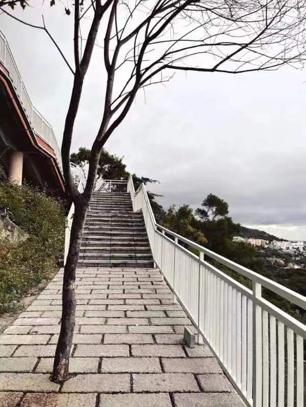 1666150358142511.jpg 9.jpg